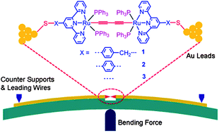 Electrical Conductance Study on 1,3-Butadiyne-linked Dinuclear Ruthenium(II) Complexes within Single Molecule Break Junctions