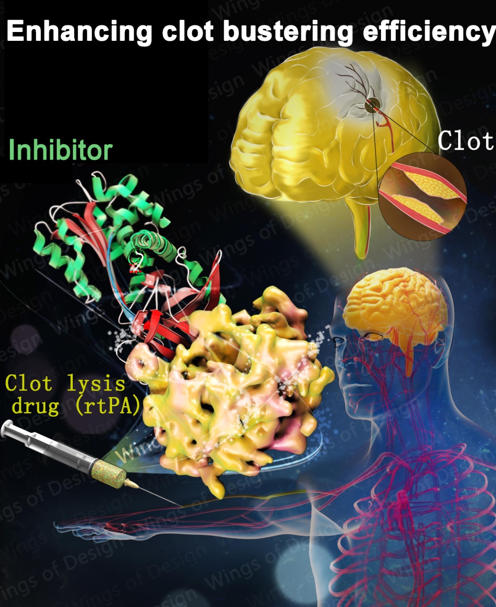A Method to Improve Clot Lysis Drug and Reduce its Bleeding Side Effect Discovered