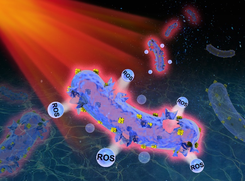 Near-infrared-triggered Nano-photosensitizer to Cure Deep-tissue Infections with Promising Antifungal and Antibacterial Efficacy