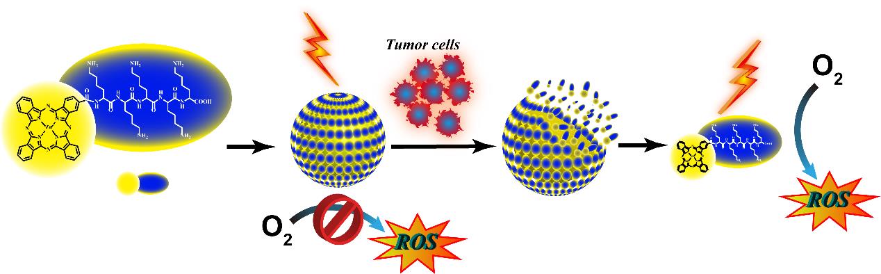 Tumor-triggered Photodynamic Therapy Using Pentalysine-phthalocyanine Assembly Nanodots