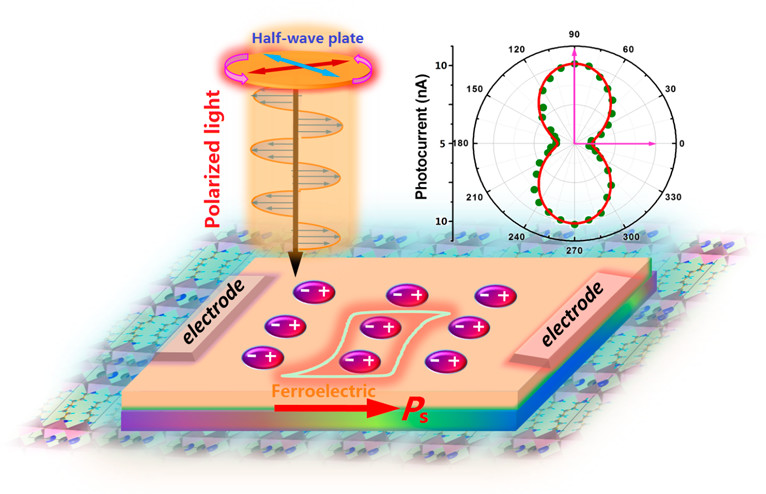 Scientists Design Two-Dimensional Hybrid Perovskite Ferroelectric for Polarized-light Detection