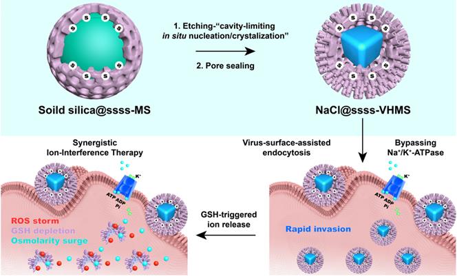 Tumor Microenvironment-responsive Yolk-shell NaCl@Virus-inspired Tetrasulfide-organosilica Developed for Ion-interference Therapy