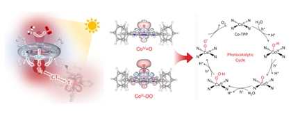 High-performance Photocatalytic Water Oxidation Realized via Ultrathin Covalent Organic Framework Nanosheets
