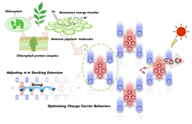 Long-range π-π Stacking in Hydrogen-bonded Organic Frameworks Enhances Electron Delocalization to Improve Photocatalytic Activity
