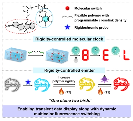 New Spiropyran Copolymer Developed for Time-gated Encryption and Multicolor Anti-counterfeiting Applications