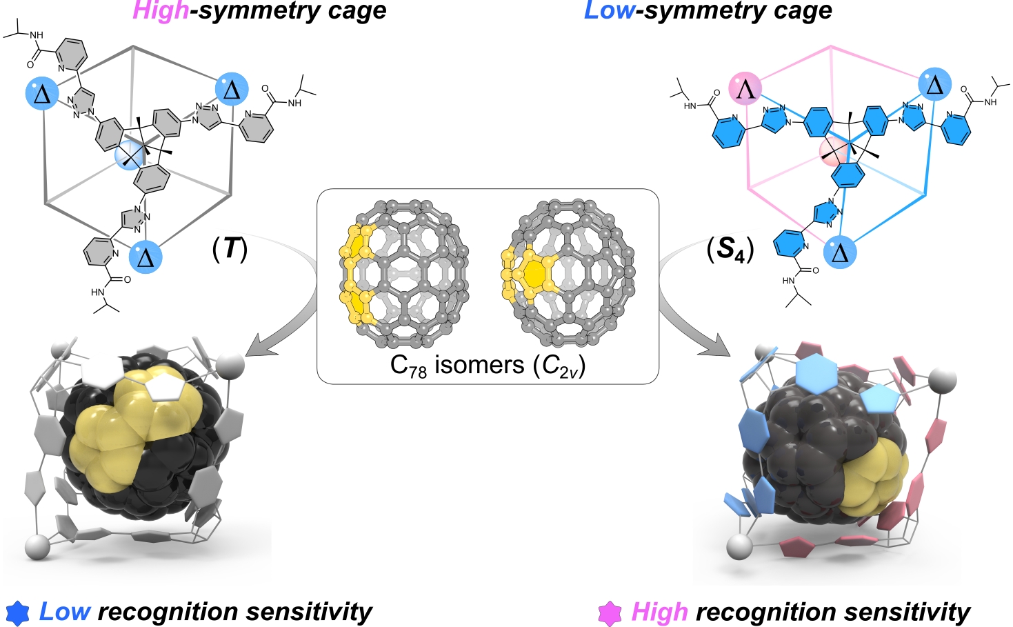 Researchers Achieve Low-symmetry Coordination Cages for Sensitive Recognition and Selective Enrichment of Higher Fullerene Isomers