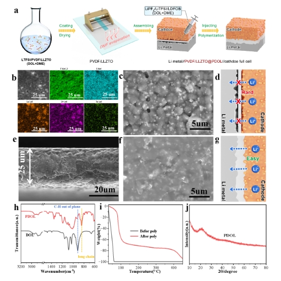 In situ Establishment of Rapid Lithium-ion Transport Pathways Enables Dendrite-free and Long-lifespan Solid-state Lithium Batteries