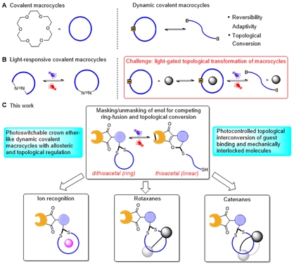 Researchers Realize Photoswitchable Topological Regulation of Covalent Macrocycles, Molecular Recognition, and Interlocked Structures