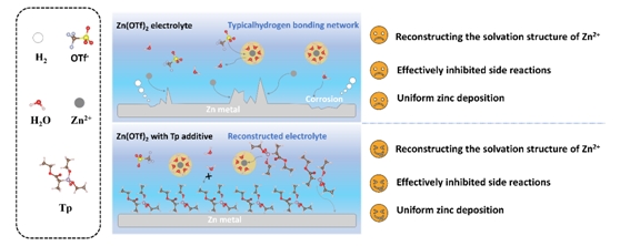 Researchers Enhance Anode Interface Structure and Improve Performance of Aqueous Zinc-ion Batteries by Using New Organic Additives with High Dipole Moments