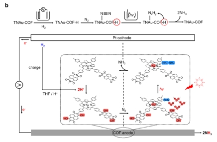 Researchers Propose Photo-driven Ammonia Synthesis via Proton-mediated Photoelectrochemical Device