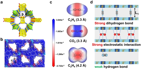 Researchers Construct Flexible Metal Organic Framework with Adaptive Recognition Sites for One-step Ethylene Purification from Ternary Mixture