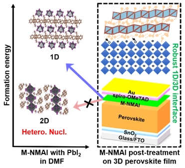 Researchers Explore Formation Dynamics of Thermally Stable 1D/3D Perovskite Interfaces for High-performance Photovoltaics