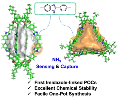 Ultrastable Imidazole-linked Porous Organic Cages Designed for Ammonia Capture and Detection