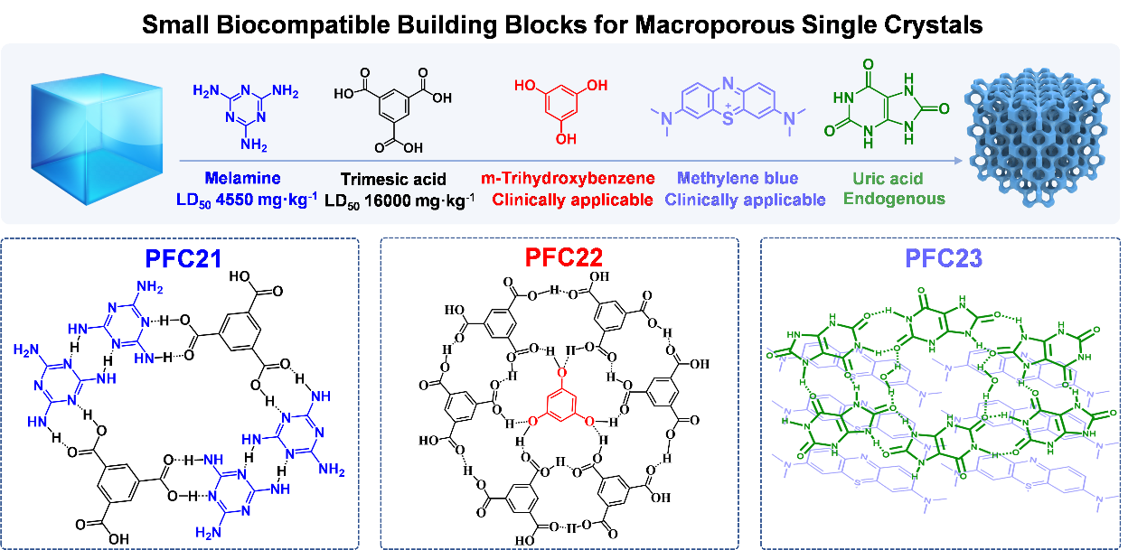 Highly Ordered Macroporous Hydrogen-bonded Organic Frameworks Based on Small Biocompatible Molecules