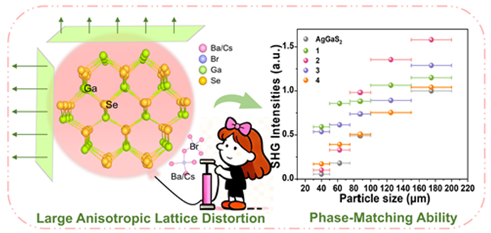 Large Anisotropic Lattice Distortion Unlocks Phase-matching in New Salt-inclusion Chalcogenide NLO Crystals