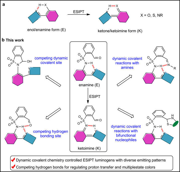 Researchers Reveal Strategy of Competing Dynamic Covalent Bonds and Hydrogen Bonds to Regulate Excited-state Intramolecular Proton Transfer Luminogens