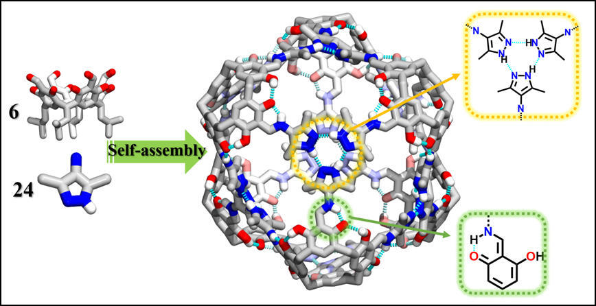 Synergistic Covalent and Hydrogen-Bonding Interactions Drive Assembly of Gigantic Snub Cube