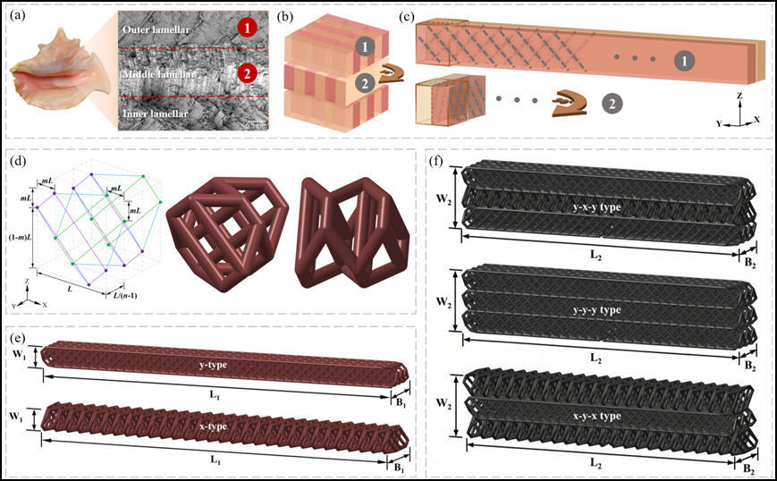 Conch Shell-Inspired Lattice Architecture Achieves Remarkable Bending Fracture Toughness