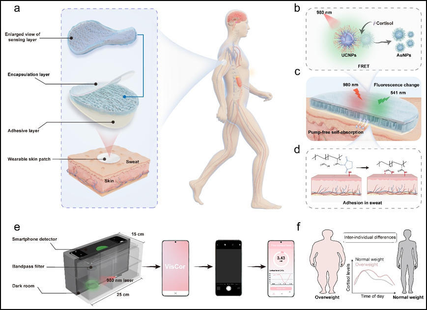 Flexible Wood-derived Hydrogel Patch Enables Pump-free Sweat Collection and Smartphone-assisted Cortisol Profiling